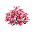 thumbnail image 2 of BotaniNest 18 Head Exquisite Silk, 2 of 4