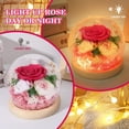 thumbnail image 3 of Rosa preservada FIACO Forever Fresh Flowers en cúpula de cristal, 3 of 7