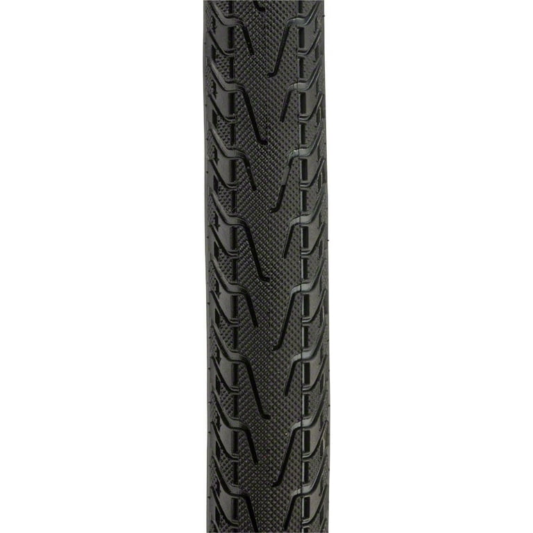 Panaracer pasela protite tire 2025