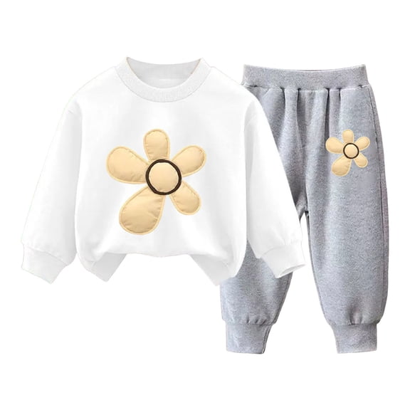 Mnyotv Toddler Girl Clothes 2 Piece Little Girls Flower Fall Outfits Long Sleeve Sweatshirts Casual Pants Set Size 3-4 Years