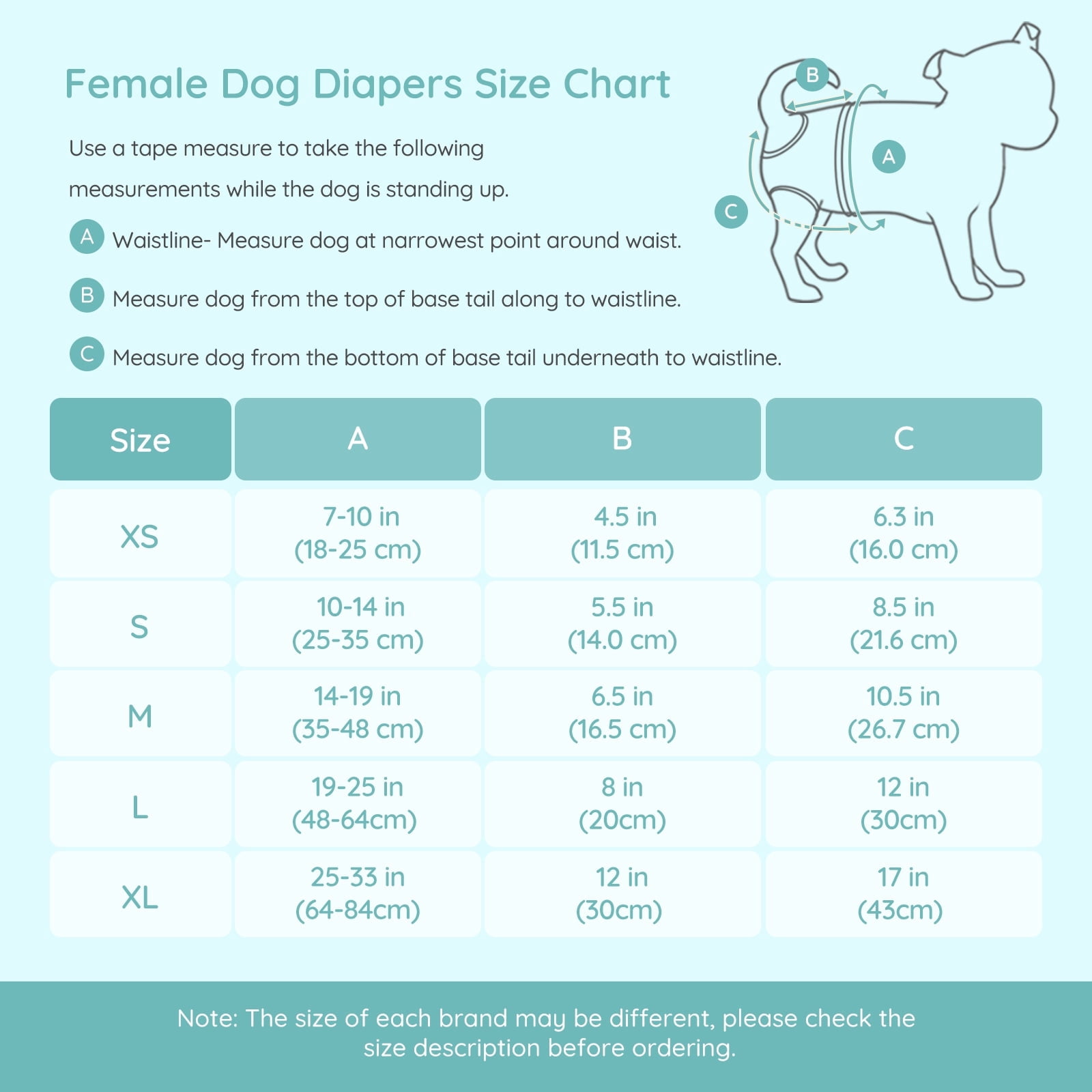 BELLA & PAL Blue Green Floral Female Dog Diapers, 3-Pack, Highly Absorbent Washable Diapers for Small Dogs, Leak-Proof Puppy Diapers, L