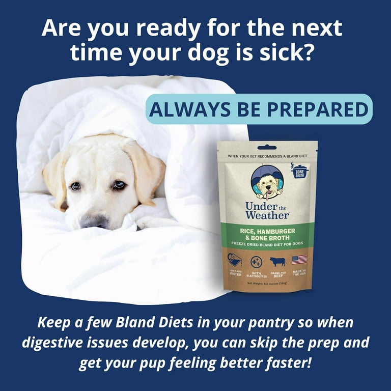 Under the Weather Easy to Digest Bland Diet for Sick Dogs Always Be Ready Contains Electrolytes Gluten Free All Natural Freeze Dried 100