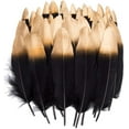 thumbnail image 5 of Mejore su estilo y espacio con diseños decorativos e infundidos para ropa, sombreros, bodas, cumpleaños y más. Plumas vibrantes, 5 of 5