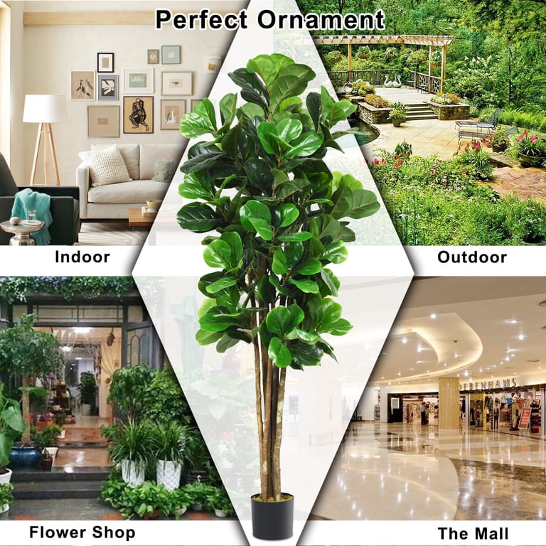 water golden pothos Buy Golden Pothos Online - Epipremnum aureum 'Golden' main image 0