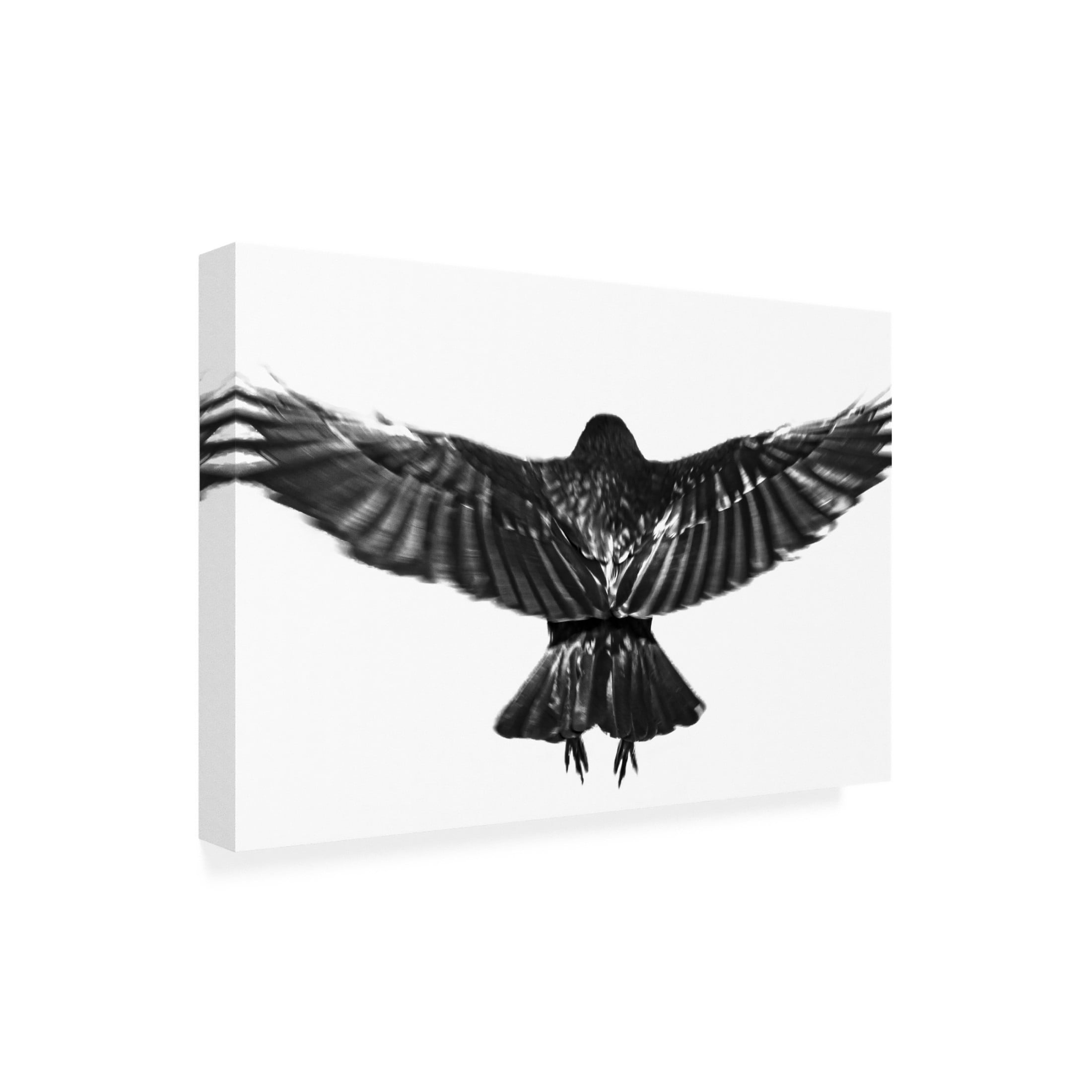 Trademark Fine Art Yuusuke Hisamitsu Flying. Canvas Wall Art