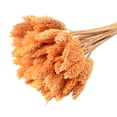 thumbnail image 1 of Coofit Dry Flower Branch DIY 24PCS Simple Natural Dried Grass Stem Dry Grass Decor, 1 of 8