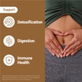 thumbnail image 4 of Force Factor Primal Origins, Beef Organs Supplement with 3500mg Beef Liver, Kidney, Heart, Pancreas & Spleen for Energy & Stamina, 150 Capsules, 4 of 10