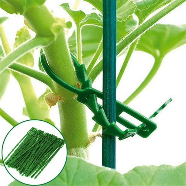 Garden Plant Ties ReUsable Adjustable Plastic Tie Greenhouse Multi