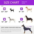 thumbnail image 2 of CALHNNA Washable Dog Diapers Female - 3 Pack with Skirt Doggie Diapers for Female Dogs Medium, 2 of 5