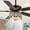 Black, variant on Cusp Barn 52 inch Modern Black Crystal Ceiling Fan with Light and Remote Control, DC Motor 6-Speed Reversible Ceiling Fan