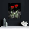 thumbnail image 4 of COMIO Black and White Red Tulips Canvas Wall Art for Living Room Bedroom Bathroom Home Decorations, Tulips Painting Poster Framed Artwork Office Wall Decor Ready to Hang, 4 of 4