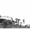 thumbnail image 1 of Timber Timbre - Hot Dreams, 1 of 1