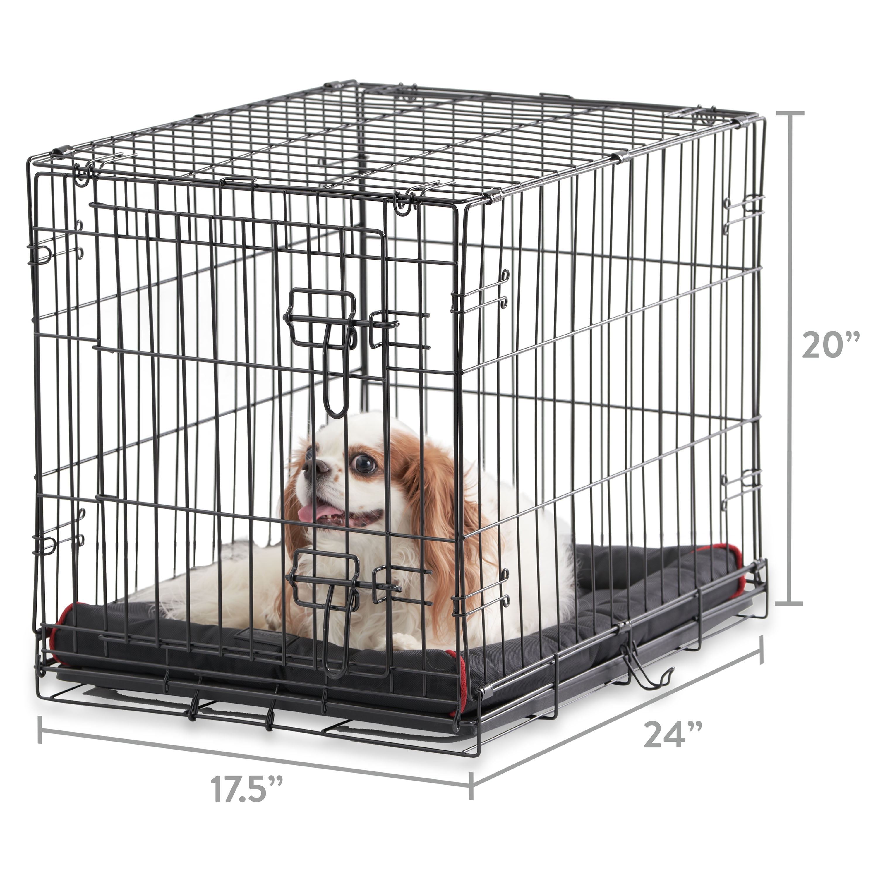 What Size Dog Fits In A 24 Inch Crate
