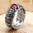 thumbnail image 2 of HSHDLDF 6 Pcs Bague Feng Shui Bague en Argent PiXiu pour Hommes Bague de Protection Mantra Ajustable Amulette Porte-Bonheur Richesse Bague Ouverte pour Femmes Cadeaux, 2 of 7