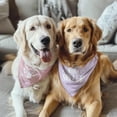 thumbnail image 5 of Big Sister Dog Bandana 2 Pack Pet Dog Scarf Baby Announcement Props Pregnancy Announcement Dog Bandana Gender Reveal Dog Outfit Accessories Gift for Dog Lover Owner (Pink,Purple) Large, 5 of 6