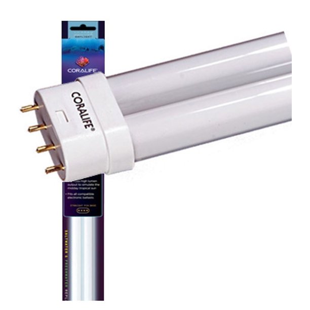 Coralife 36W 50/50 Straight Pin Compact Fluorescent Lamp