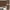 Walnut, variant on 2 Packs Soundproof Wall Panels, 46.45" x 23.81" Wood Slat Wall Panel Wood Wall Panels 3D Sound Dampening Panels Wall Decoration 3D Wall Panels for Interior Wall Decor, Walnut