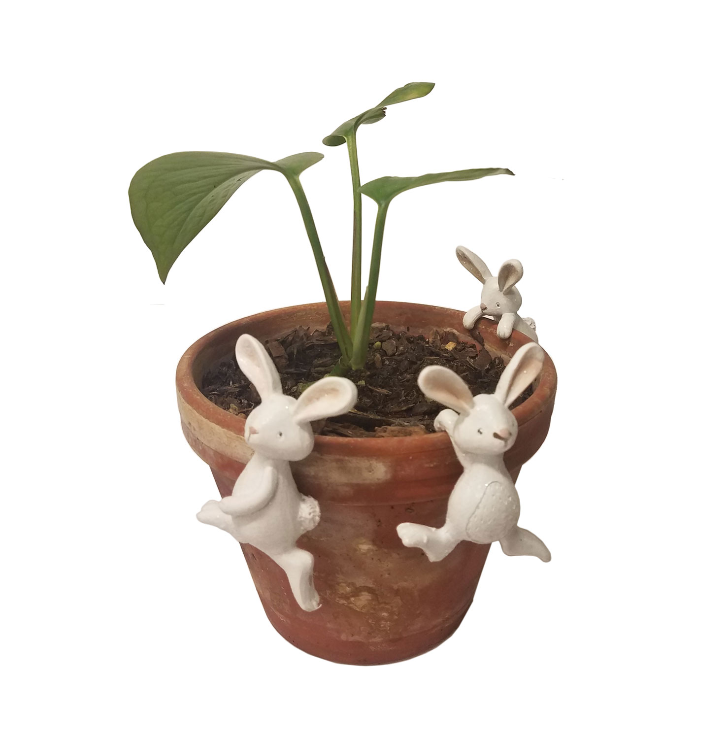 Set of 3 Bunny Rabbit Plant Pot Hangers Vase Hugger
