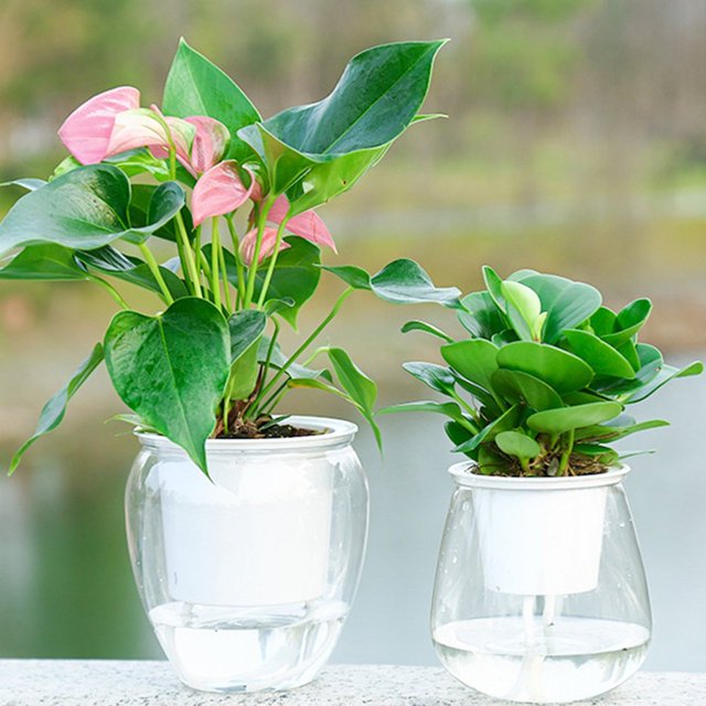 Ready 2022 Flowerpot Self Watering Practical Plastic Transparent Plant Pot for Home