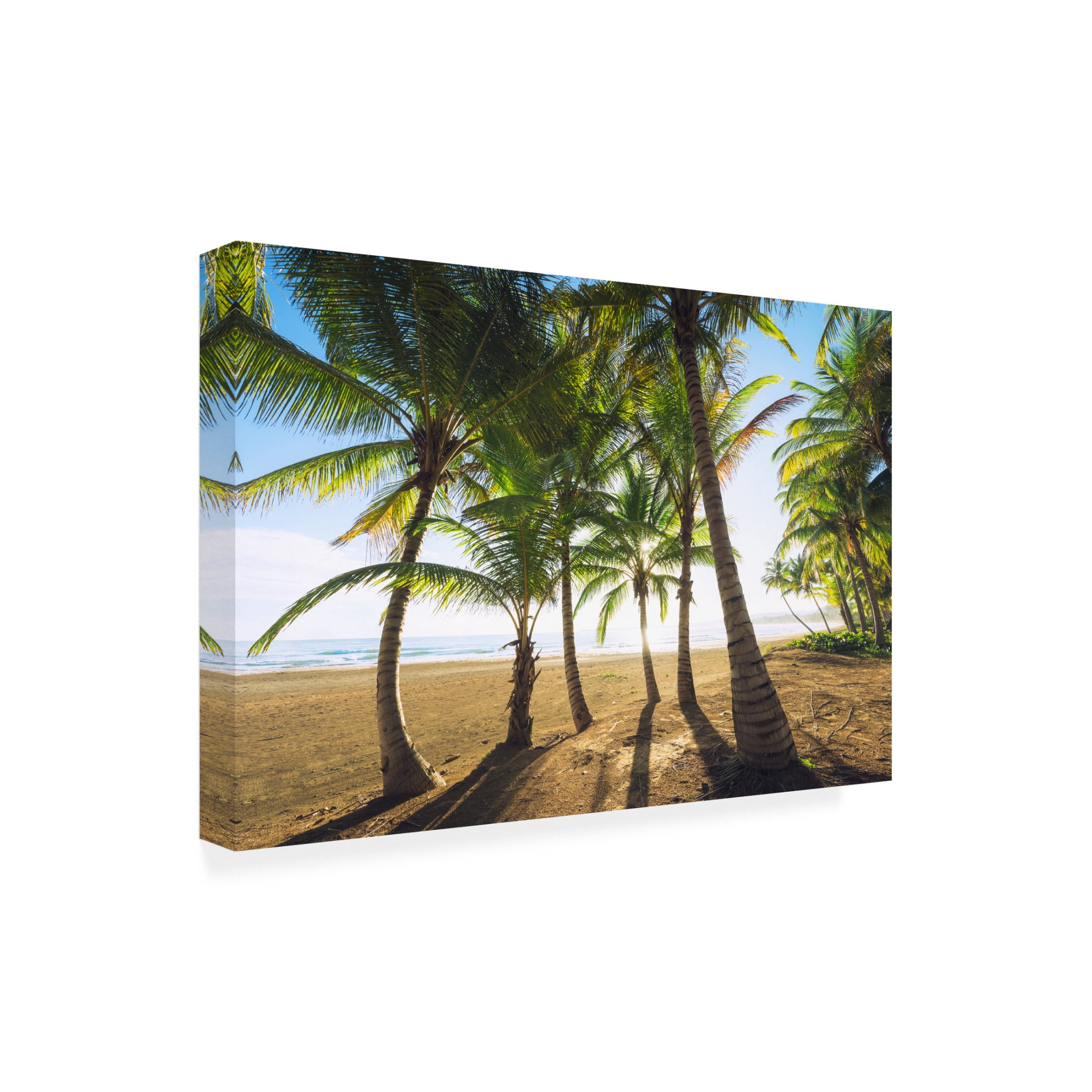 Trademark Fine Art Stefan Hefele Tropical Morning Canvas Wall Art