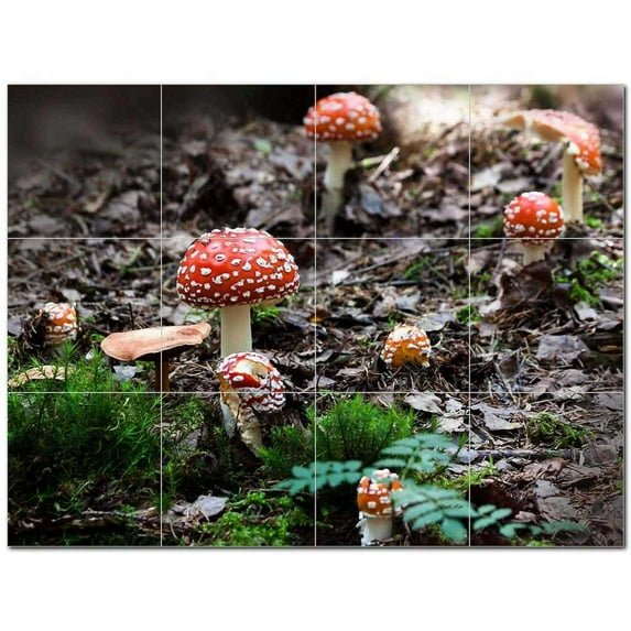 Mushroom Ceramic Tile Mural Kitchen Backsplash Bathroom Shower 401198-S43