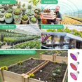 thumbnail image 3 of KEINXS Led Grow Light Bulb Full Spectrum Light For Indoor Plants Flowers Veg Growing, 3 of 12