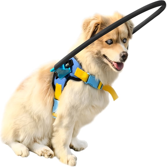 GASTROPOD 2026 New Blind Dog Halo Harness, Protective Halo Dog Collar for Blind Dogs, Confidence Building Harness Guiding Device, Blind Dogs Accessories, Xs Black