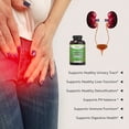 thumbnail image 4 of Pure By Nature 600mg D-Mannose Vegan Capsules with Cranberry & Dandelion Extract, Urinary Tract Health Support, Flush Impurity, Detox Body, 240 Count, 4 of 8