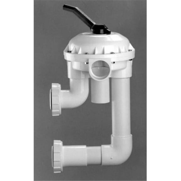 2In Hiflow Multiport Backwash Valve
