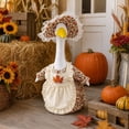 thumbnail image 2 of Aurorax Fall Goose Outfits for Porch Goose,Thanksgiving Porch Goose Outfit for 19 inch 23 inch, 2 of 9