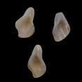 thumbnail image 6 of Chalcedony Calla Lily Flower Beads | 22x11x2.5mm to 27x11x2mm | White | 3 Beads|, 6 of 9
