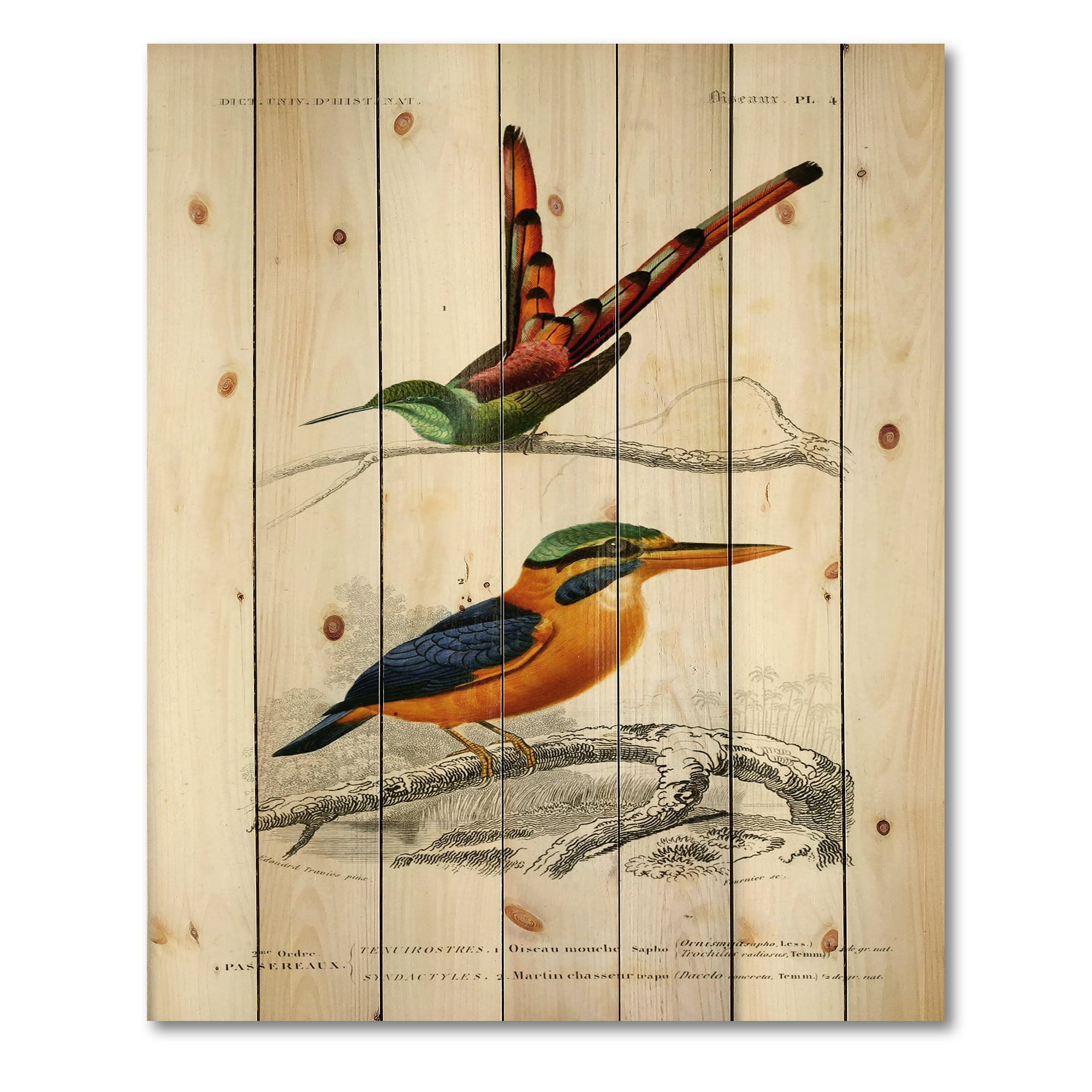 Designart 'Ancient Bird I' Traditional Print on Natural Pine Wood