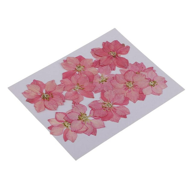 Paquete de 12 hojas de flores secas prensadas naturales para manualidades de uñas. Rosado