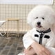 thumbnail image 3 of Pet Clothes Autumn Winter Medium Small Dog Knitted Sweater Luxury Designer Cardigan Jewelry Decoration Kitten Puppy Coat Poodle ShopWise Round, 3 of 8