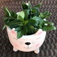 thumbnail image 5 of Planter for Succulent Plant Ceramic Plant Pots Indoor, Novelty Planters for Home Office Garden White Cat, Small, 1, 5 of 6