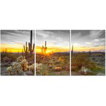 Hieng Arizona Wall Art Desert Landscape Picture Painting Southwest Cactus Canvas Print for Living Room Bedroom Decor