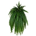 thumbnail image 2 of 56" Green Boston Fern UV, 2 of 2