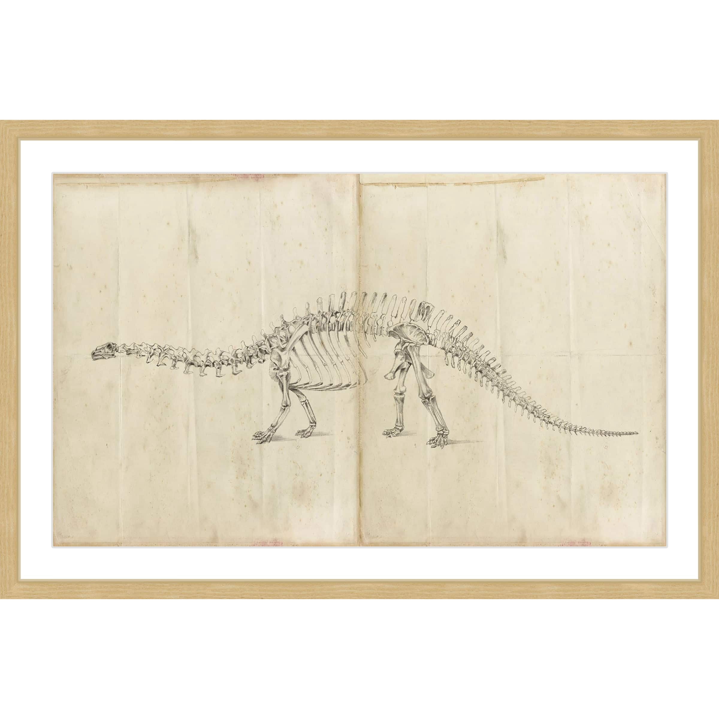 Marmont Hill "Dinosaur Study I" Framed Painting Print