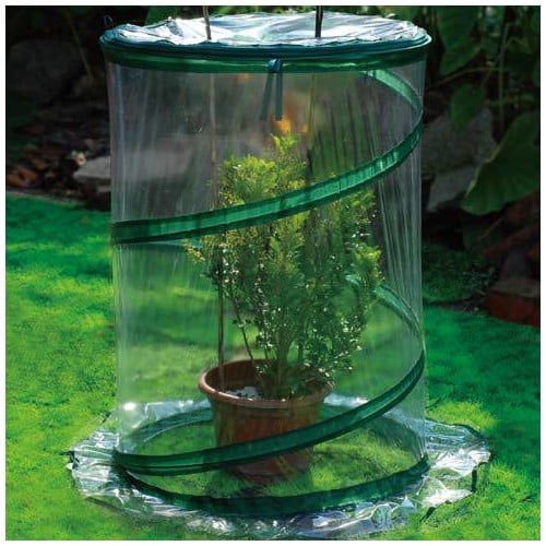 Zenport 2.5 Ft. W x 2.5 Ft. D Cold-Frame Greenhouse by Zenport Industries