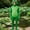 Green, variant on JOANKDMI Unisex Adult Frog Costume Halloween Animal Onesie Full Body Jumpsuit with Hood Funny Role Play Outfit Apparel for Halloween Party Role Play Dress Up Festival Wear