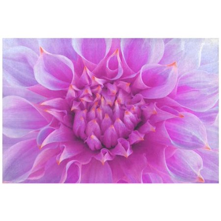 

ECZJNT Bright Pink Dahlia Flower Placemat Plate Holder Set of 6 Macro Nature Floral Table Mats Protector 12x18 inch