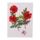 thumbnail image 3 of Hojas Secas das para Decoración de Tarjetas de Bricoje Artesanal de Joyería de Fundición de Resina rojo Baoblaze Flores secas prensadas naturales, 3 of 8