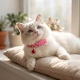 thumbnail image 2 of Fruit Print Cats Collar with Jingler Adjustable 20-28cm Safety Buckle for Indoor and Outdoor, 2 of 7