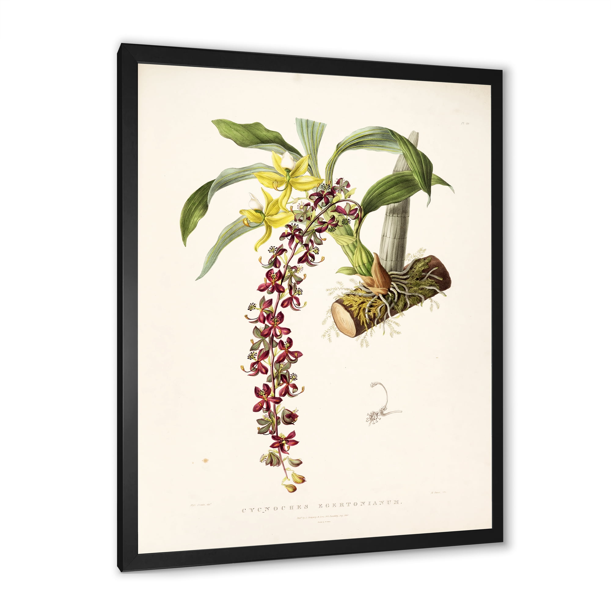 Designart 'Ancient Flower II' Traditional Framed Art Print