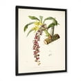 thumbnail image 2 of Designart 'Ancient Flower II' Traditional Framed Art Print, 2 of 4