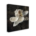 thumbnail image 4 of Stupell Industries Rustic Magnolia Flower Botanical & Floral Painting Gallery Wrapped Canvas Art Print Wall Art, 36 x 36, 4 of 8