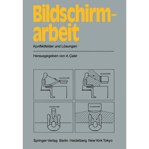 Informationstechnik Und Datenverarbeitun Bildschirmarbeit: Konfliktfelder Und LÃ¶sungen, (Paperback)