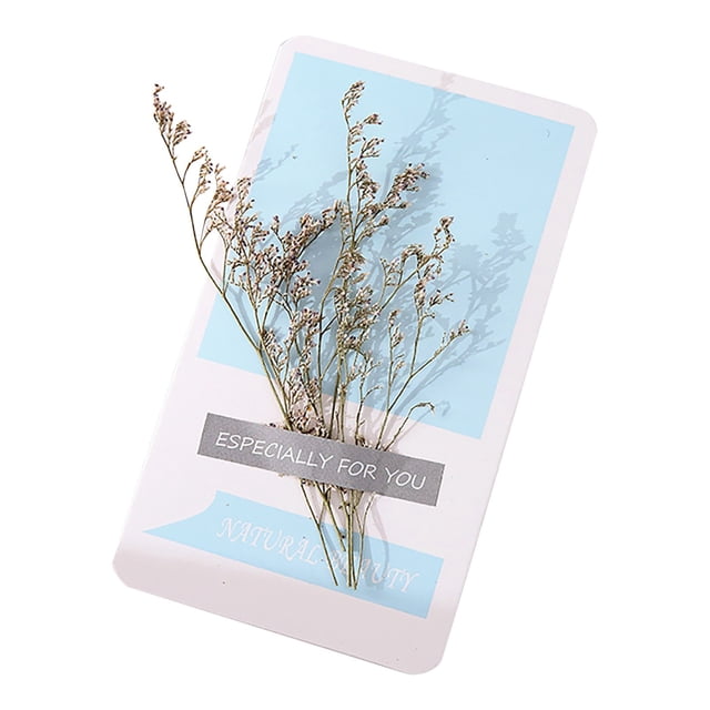 Mother's Day Flowers Dried Flowers Greeting Card Diy Greeting Card