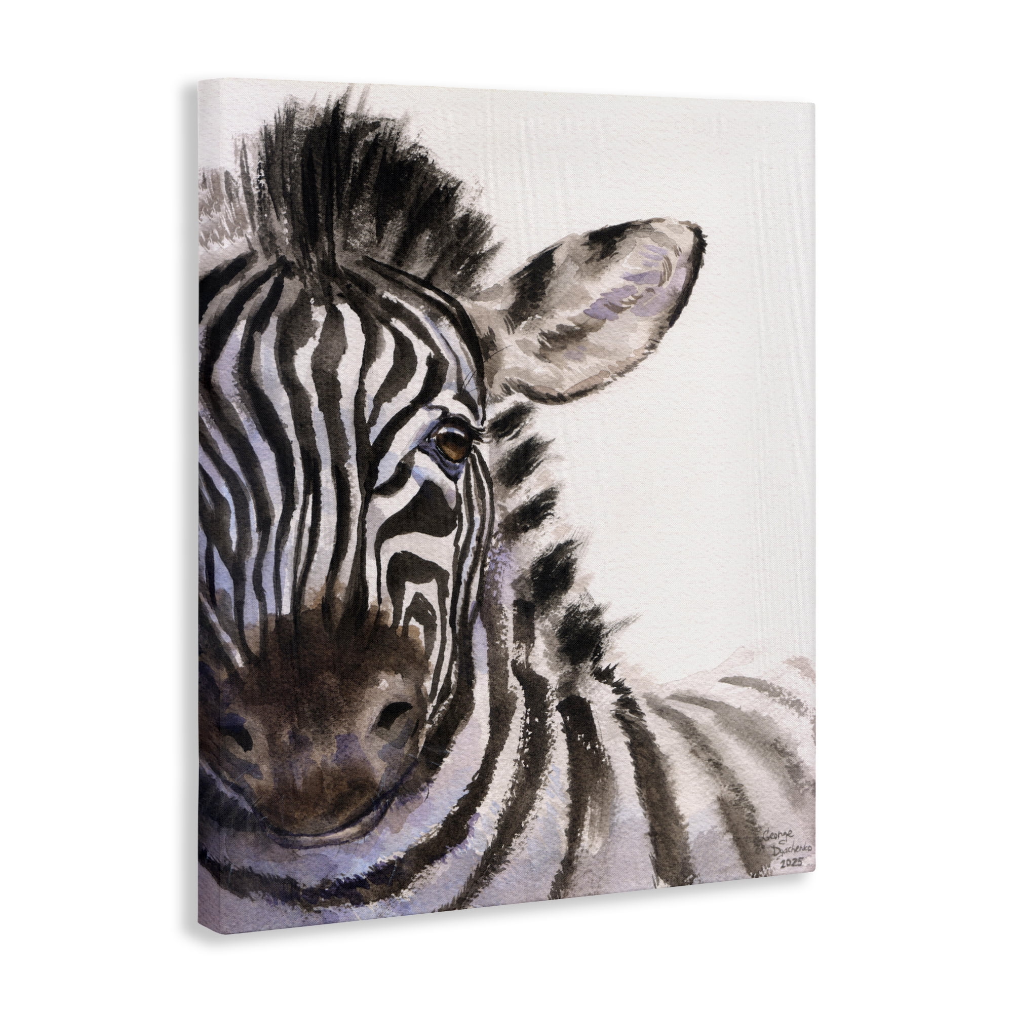 Stupell Industries Zebra Portrait on White Canvas Wall Art, design by George Dyachenko