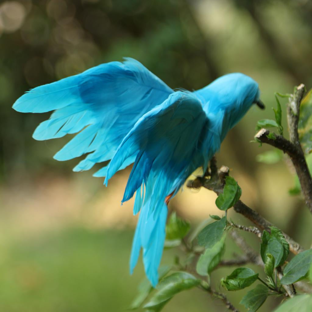 New Fake Artificial Bird Realistic Home Decor Spadger Taxidermy Sparrow Blue 